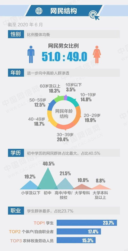 一图读懂第46次 中国互联网络发展状况统计报告