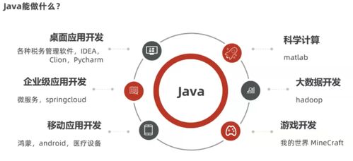 成都北大青岛 java介绍